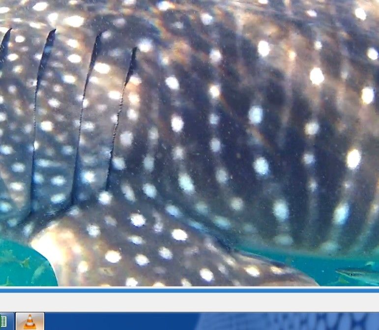 0a8c5ac1-4e89-47a7-b978-627eb9ea48e0