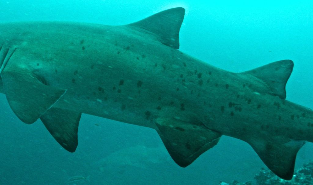 2a2c8299-fe16-47e2-a55e-60361489eee4