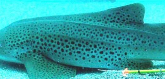 90eb7096-9b3f-48a2-bc04-6dccea1abade