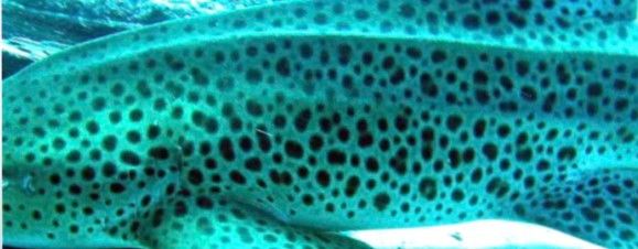 96d63e6e-2b59-442a-be84-7ebbc7c31257