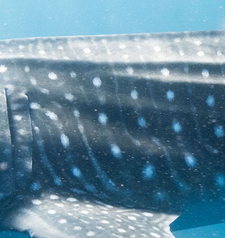 e5a9123d-edf3-4b27-96de-7d9727d50e9e