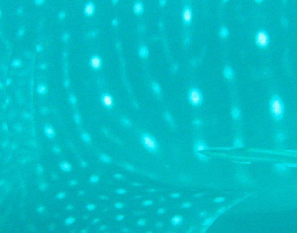 d7bec862-ab8b-4396-af2f-96f1bdb05c65