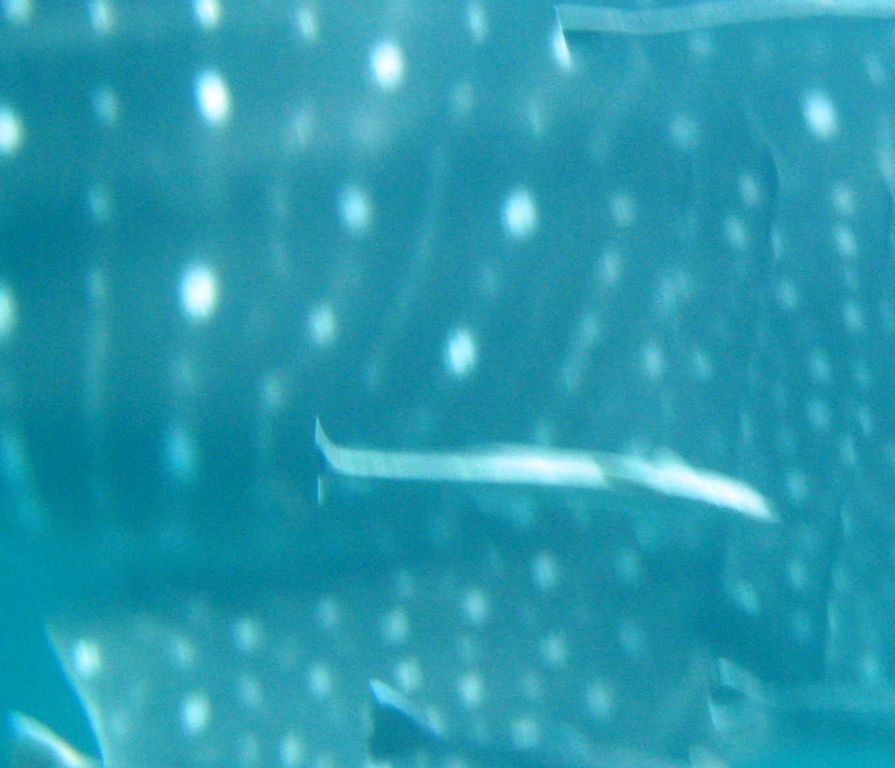 d7bec862-ab8b-4396-af2f-96f1bdb05c65