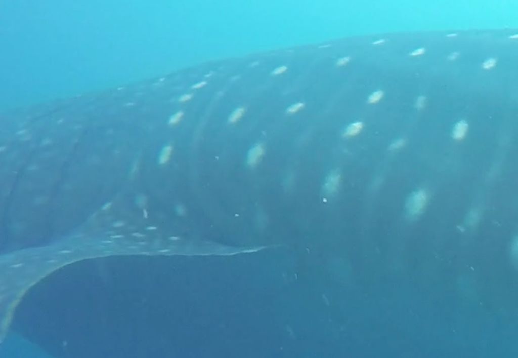 18ed28fb-69e0-4017-a55f-a0d3286883a4