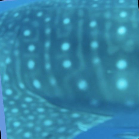 f68c1453-e571-4be1-8dc8-4aa815723a62