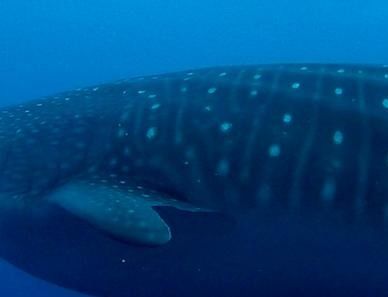 2a182228-af01-41c1-983e-14dfb957fb30