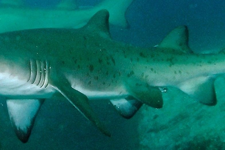 b96d567b-a404-47b5-8186-9cd6ef01ca3a