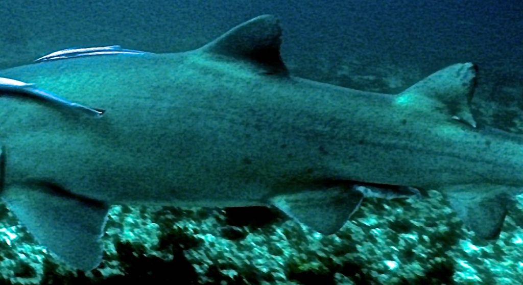 3c05d32f-d3e5-4a83-bf92-7159686c5e2f