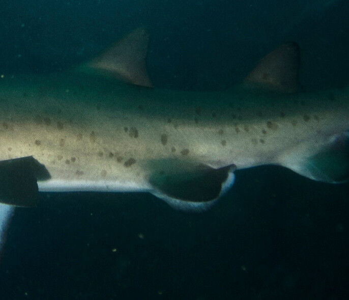 2445a43d-b76c-481a-a3c3-72ef31bfe73d