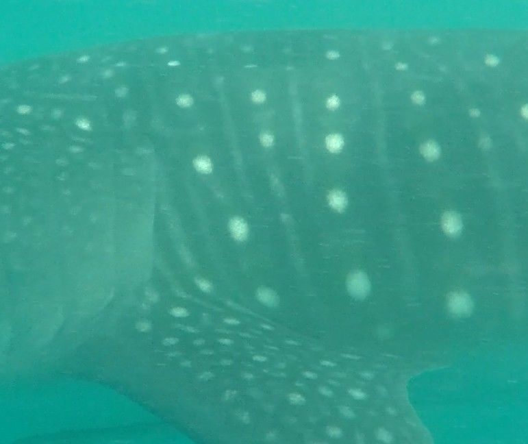 9c7af8e9-811b-412c-8084-313d06be554a