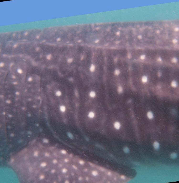 6c44a5e5-dbec-49f9-8a4d-7f5428f0558d