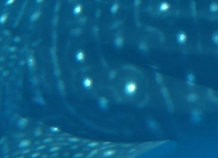 85455827-1eec-4288-8e4f-fd81eba78934