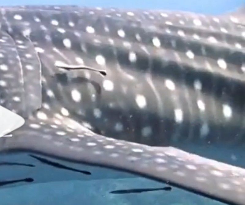 a5465b78-32bc-4f74-8008-51fa8d91da6c