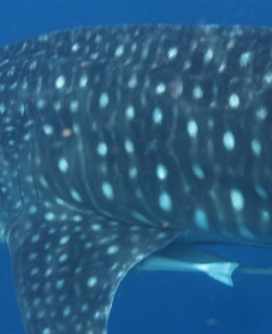 beaa600a-ba0b-4ef8-a00b-82c22a2fb44b