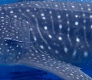 da530cd3-e6da-487e-80fd-f423790c8e4b