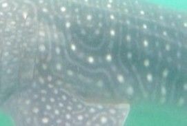 840be8a1-2881-4b6d-b2b9-ae07dd4b5bb5