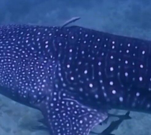 d1ae3c8e-5e75-47a0-bf8d-158ccac2df20