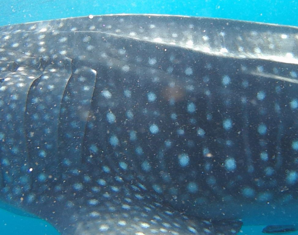 75975726-18ac-4ab7-b2d8-ef5e262159d2