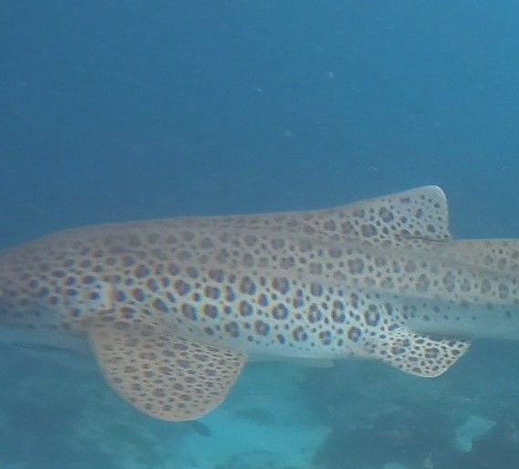 e6b815f3-e59d-4931-87af-9458956bc132