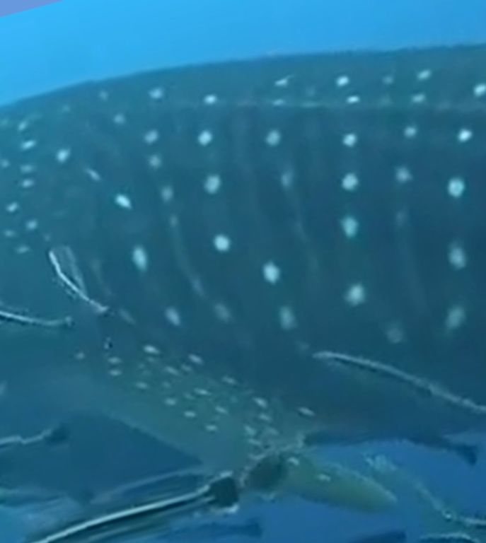 b248a26e-6ab6-472e-822b-94ad5317376d