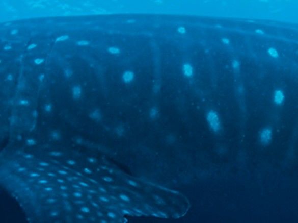 12fbddd3-d367-4297-88c8-3333185a2c1f