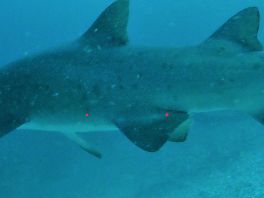 b1a8977e-8054-49b7-8406-257173e80979