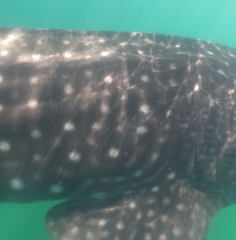 a77828aa-1640-4d3d-b8e6-88efcc88c2ba