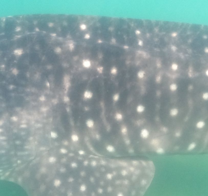 a77828aa-1640-4d3d-b8e6-88efcc88c2ba