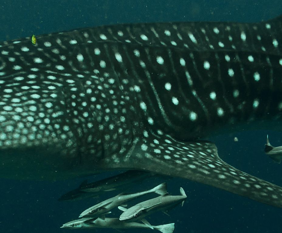 9e5a6967-63eb-42c8-9581-c6c806137860