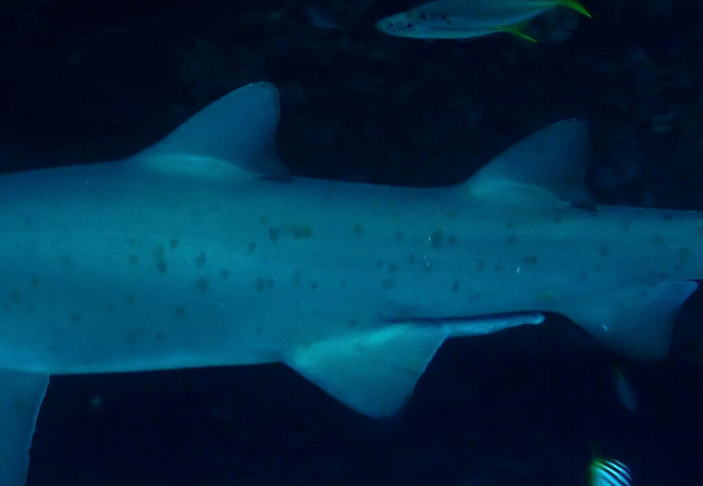 387a9329-fbe8-4d66-ae14-6142b7bf9d84