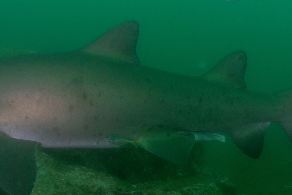 ee626045-9bdd-4642-9fd6-ec1389c9688a