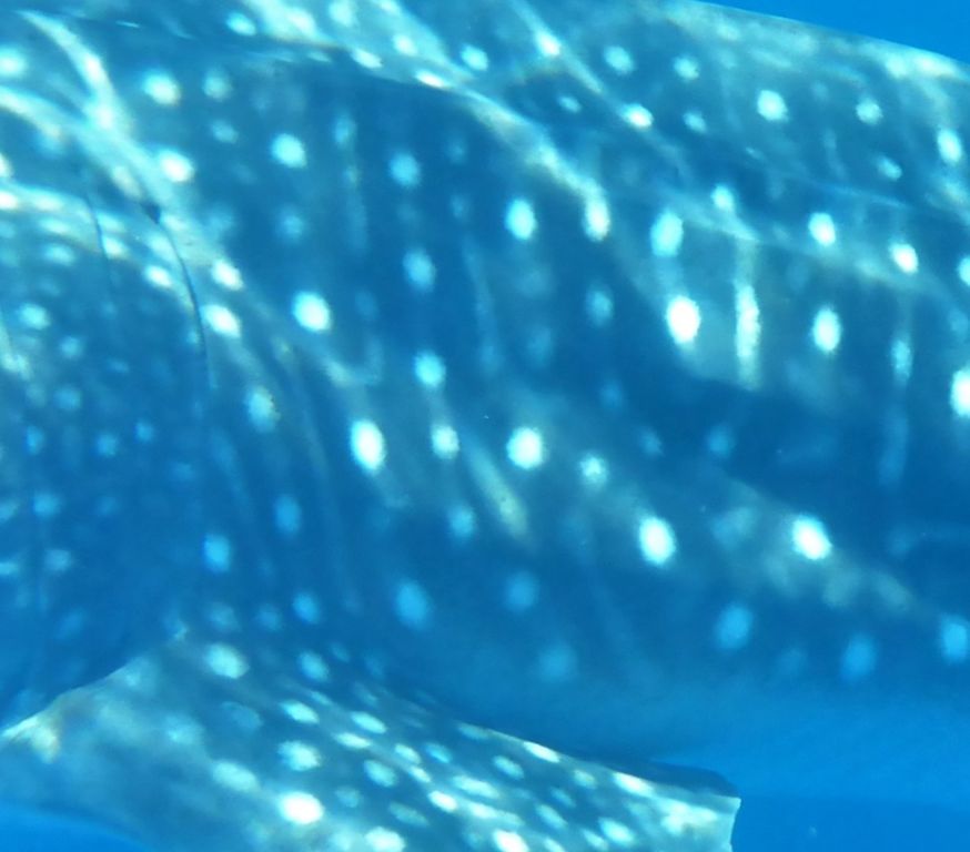 d45b8fd6-caef-4a39-8bcd-15687b199bf0