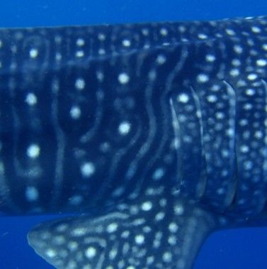 5f9397af-cc2f-448b-959a-9620c7c27d03