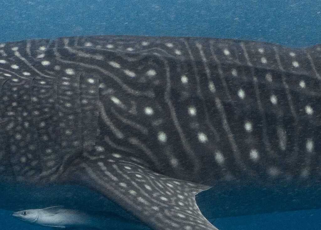 3c4bfeb8-60cd-41f5-bfb1-51b723db946c