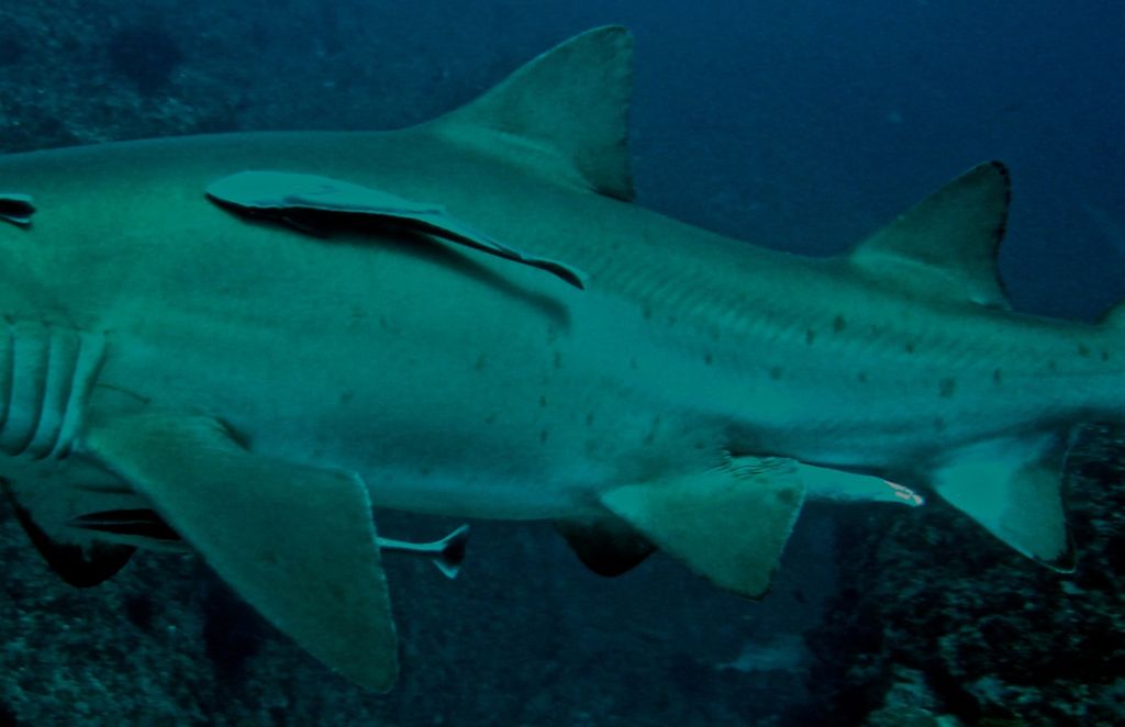 393102ae-6ca0-40ac-b34b-41b623ae4361