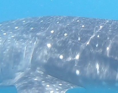 73f3eb63-24e2-414d-ab77-db41f46c2985