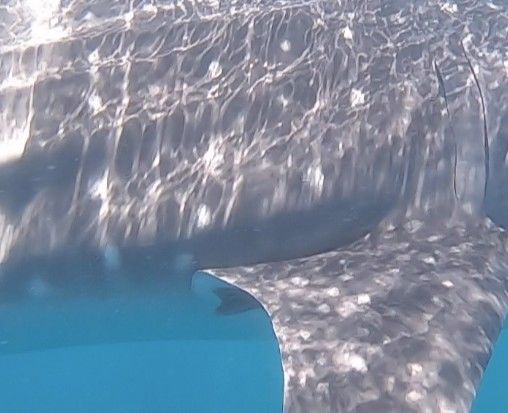 73f3eb63-24e2-414d-ab77-db41f46c2985