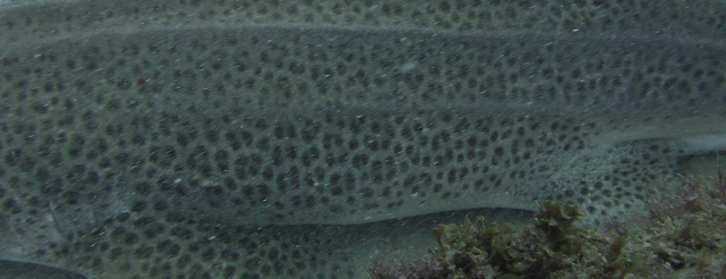 0900acb2-c79b-4886-a2e7-a80f66418da6