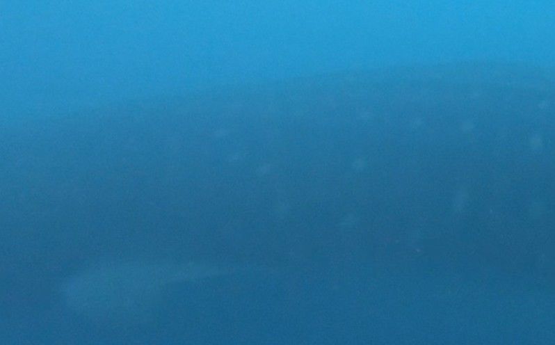 65d6f621-ea04-48db-a974-9755ed565ee0