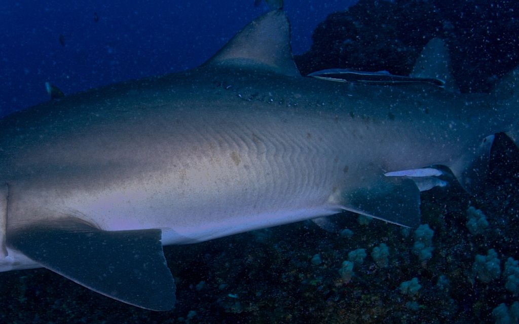 4bac256b-be34-40a7-bc90-0adfeb0a924c