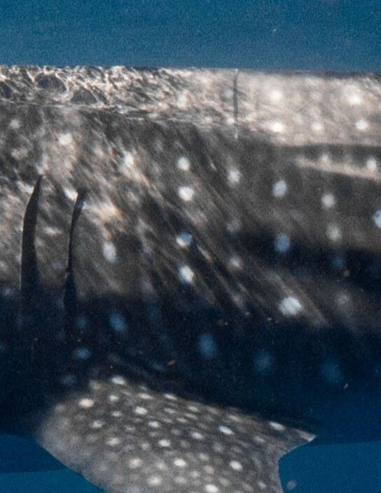 2fd1a807-2a2d-4911-aa66-ac3e27d8f379