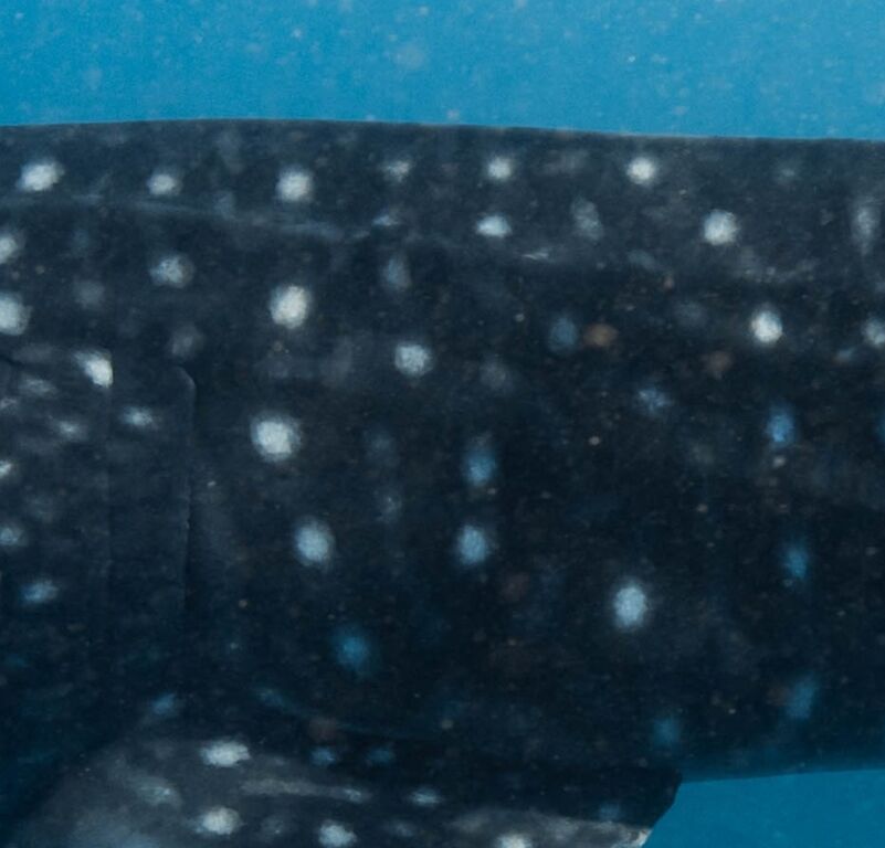 2d870c83-b321-4505-ad02-479b5b12bfa0