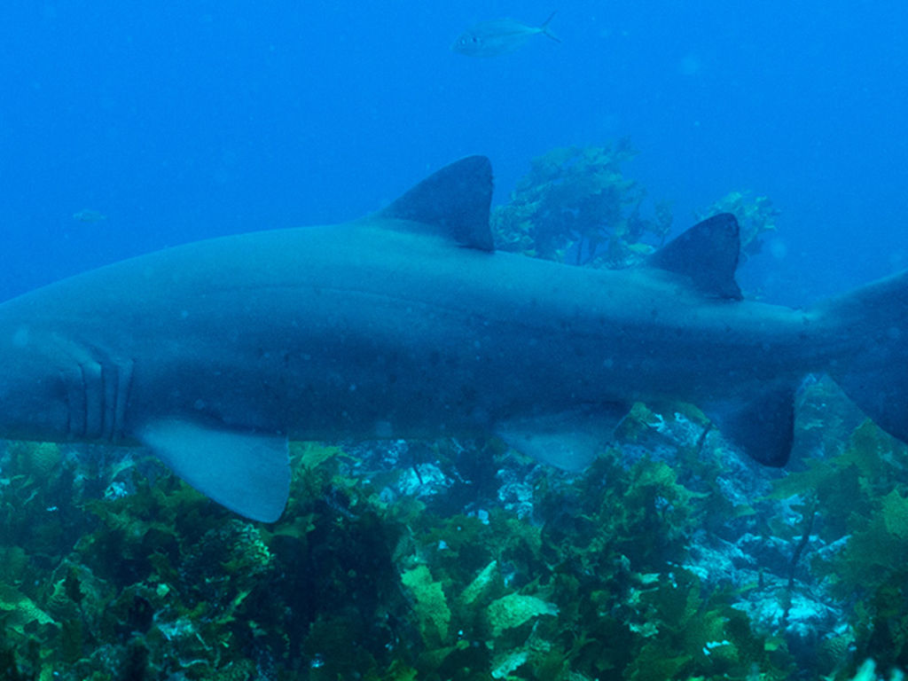 984a8b60-ebca-472f-9f88-6e348d81a868