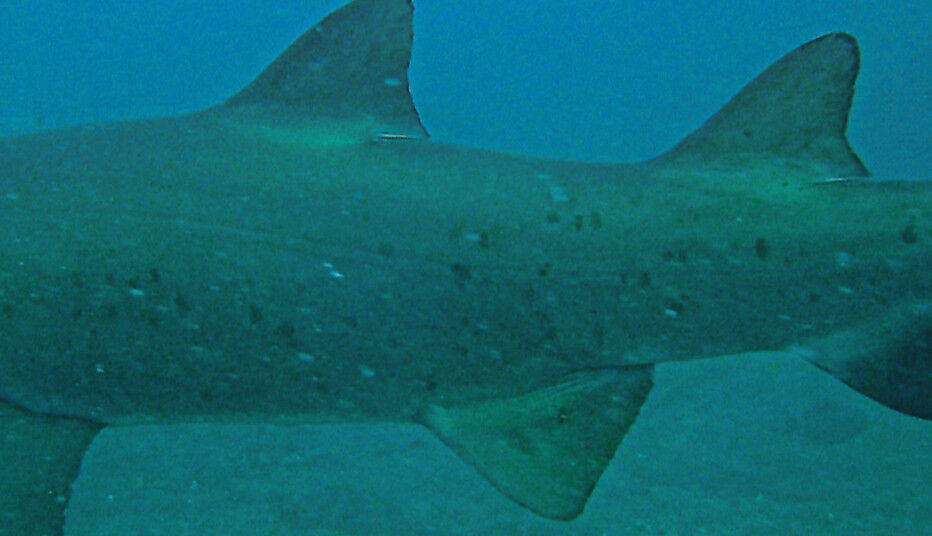 4ac5443b-6fdd-4f0d-9616-f755bc6d6744