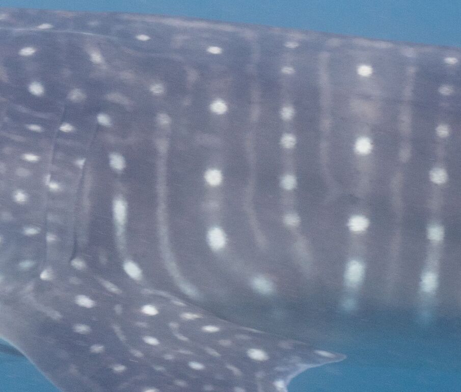 f925834a-f37c-48ac-b9d1-c3992a2010a8