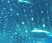 39f4430b-244c-47f0-a8bf-212635b47ca0