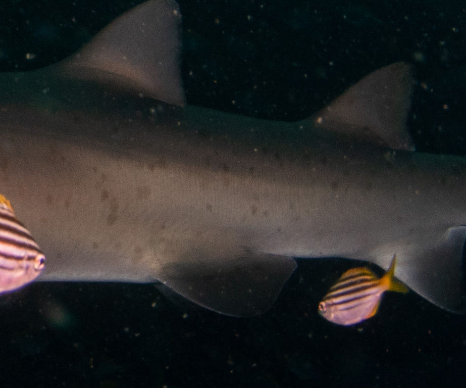 95e7153b-bf63-41ee-a19b-94e9bae75623