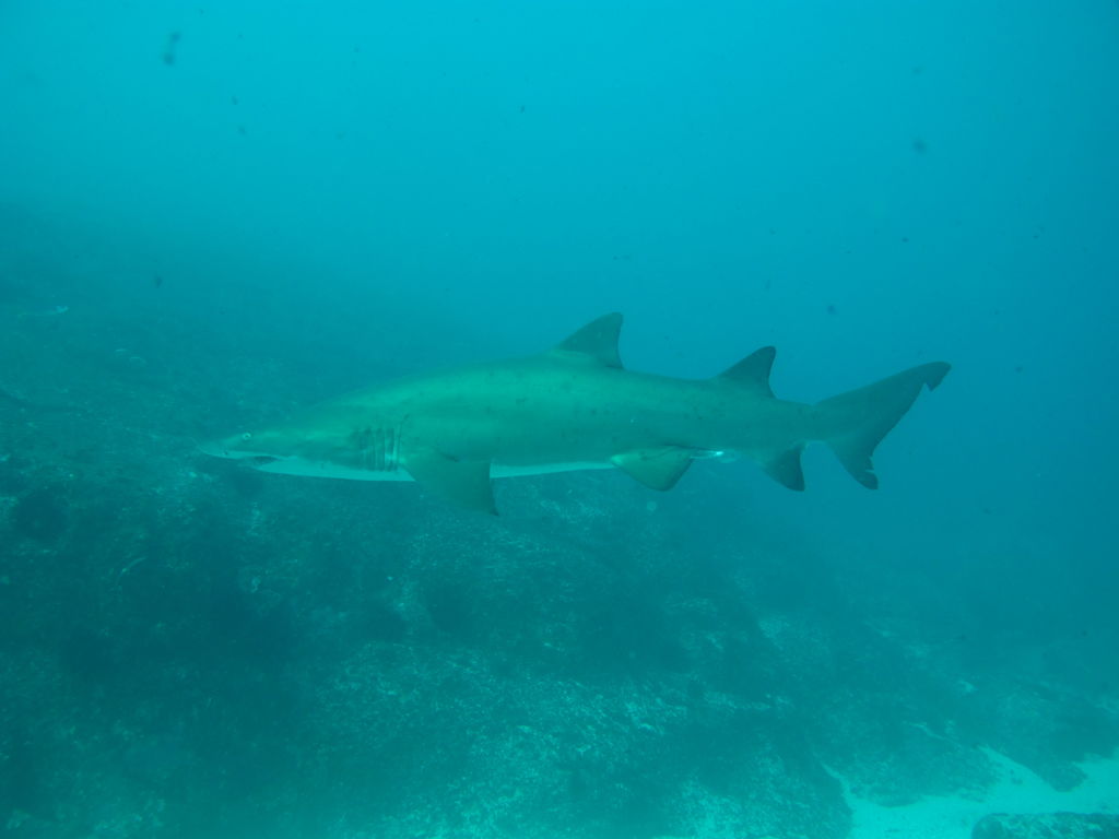 a9de3d92-3d1f-4bed-b15f-9e2a3deb414a