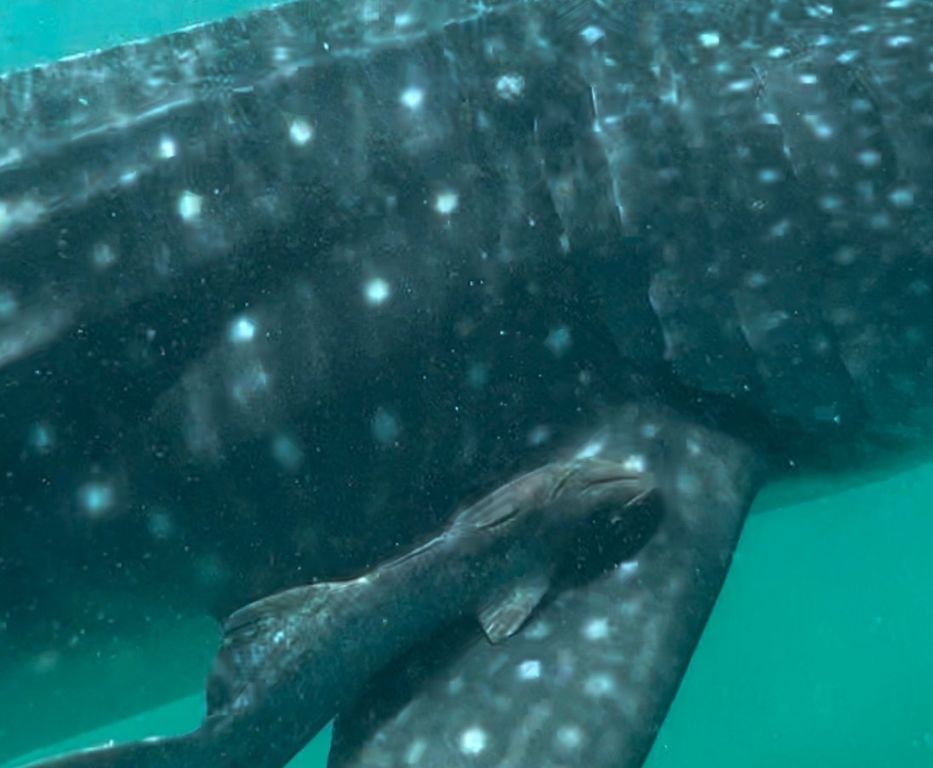 254de3b6-b588-4059-83e8-911dfb540c0b