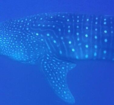 902e4dd1-aad4-48f7-b203-badac14d42d5